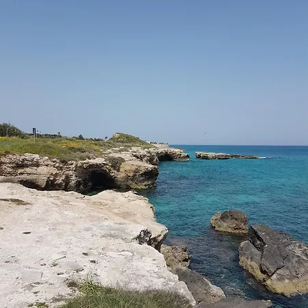 Neptune